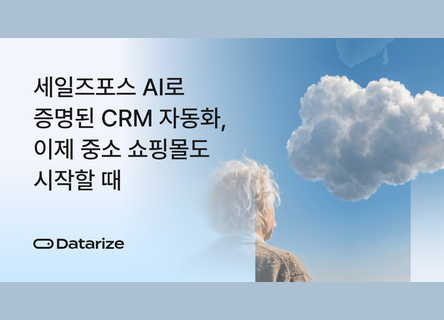재구매율 30~50% 향상, 월 10만원대 AI CRM 중소 쇼핑몰 도입법